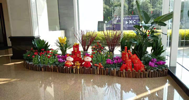 多場(chǎng)景專業(yè)綠植租賃