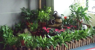 國(guó)際質(zhì)量體系認(rèn)證
