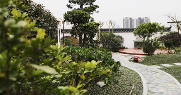 現(xiàn)場(chǎng)參觀花園實(shí)景