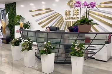 林洋集團