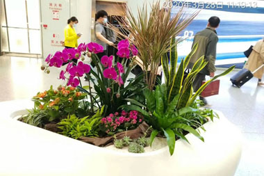萬(wàn)達(dá)信息商務(wù)花藝