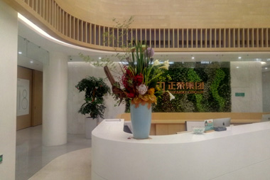 正榮集團(tuán)植物租賃案例